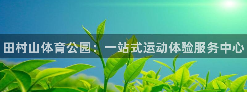 凯发官方正版app娱乐首页官网下载:田村山体育公园:一站式运