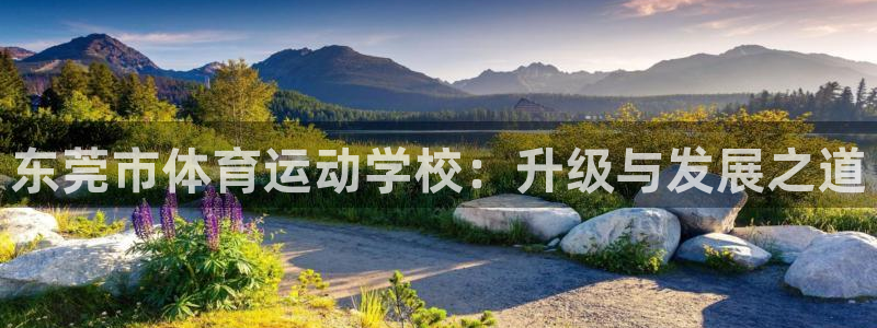 凯发官网下载注册:东莞市体育运动学校:升级与发展之道