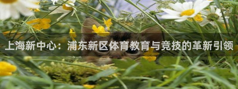 凯发官方正版app集团官网首页:上海新中心:浦东新区体育教育