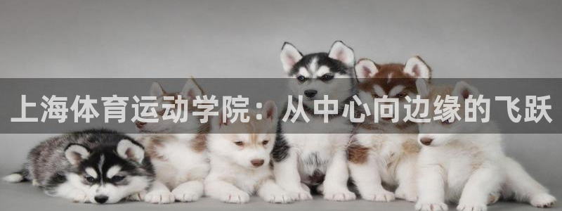 凯发官方正版app新能源:上海体育运动学院:从中心向边缘的飞